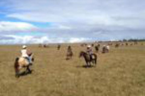 Susan River Homestead - Yamba Accommodation 0