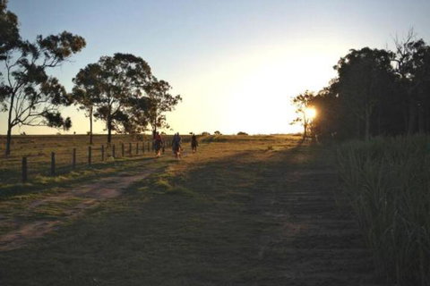 Susan River Homestead - Yamba Accommodation 2
