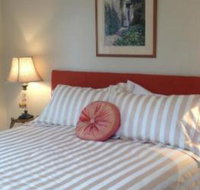 Every Man  His Dog Vineyard - Yamba Accommodation