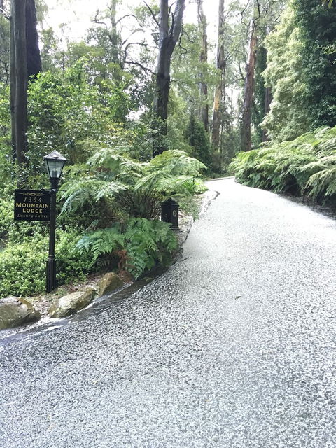 Mountain Lodge - Yamba Accommodation 0
