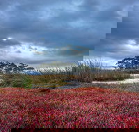 Saintys Creek Cottage - Yamba Accommodation