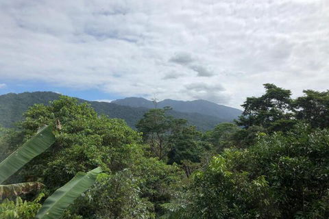 Mossman Gorge Bed & Breakfast - Yamba Accommodation 5