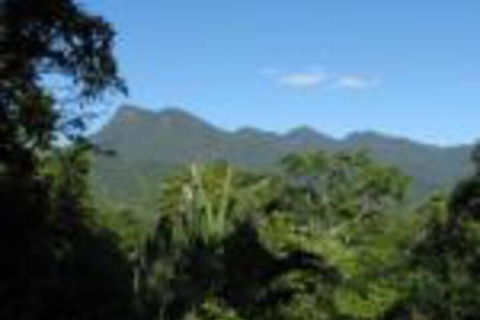 Mossman Gorge Bed & Breakfast - Yamba Accommodation 0