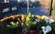 My Place & Adelaide Backpackers Hostel - thumb 1