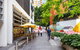 Sydney 1 Bed Modern Self Contained Apartment (402ALB) - thumb 3