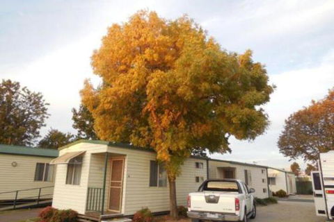 Wodonga Caravan & Cabin Park - Yamba Accommodation 0