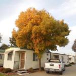 Wodonga Caravan & Cabin Park - Yamba Accommodation 1