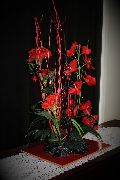 Dalby Apartments Self Contained Motel - Yamba Accommodation 1