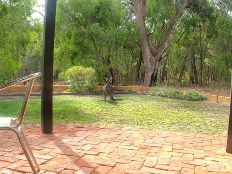 Yallingup Pet Friendly Bush Retreat - Yamba Accommodation 5