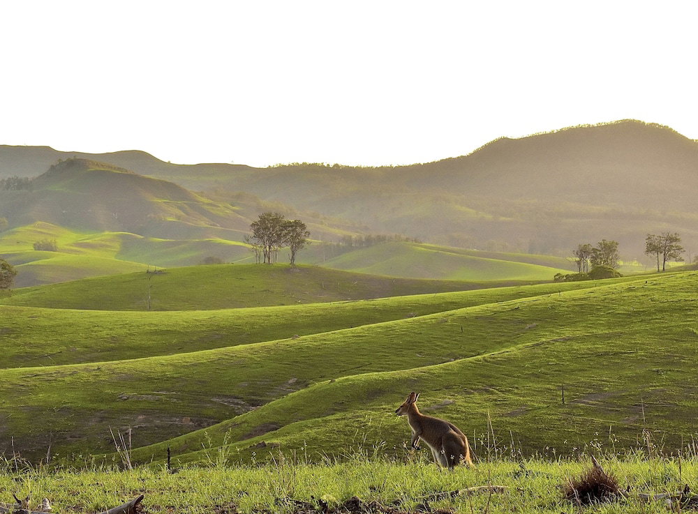 Cannon Creek QLD Yamba Accommodation
