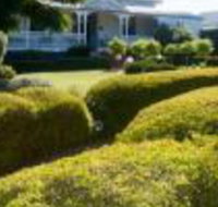 Whiskey Gully Wines - Yamba Accommodation