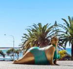 Alex Headland Beachfront - Yamba Accommodation