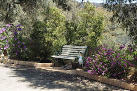 Wild Cherry Bed & Breakfast - Yamba Accommodation 3