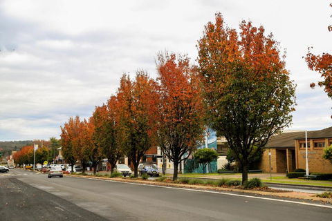 Getaway Tourist Park - Yamba Accommodation 6