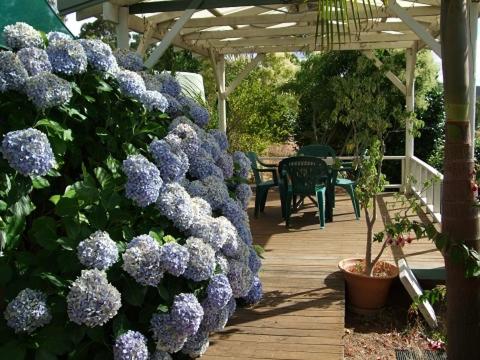 Nannup Riverview Cottage - Yamba Accommodation 3