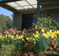 Nannup Riverview Cottage - Yamba Accommodation