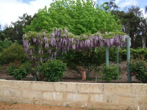 Nannup Riverview Cottage - Yamba Accommodation 5