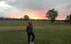 Lovedale Red Gum Cottage - thumb 6