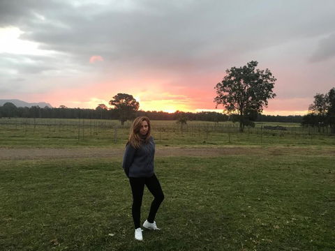 Lovedale Red Gum Cottage - Yamba Accommodation 6