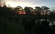 Lovedale Red Gum Cottage - thumb 4