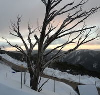 Snowflake 12 - Yamba Accommodation
