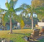 The Oasis on Jacobs Drive - Yamba Accommodation