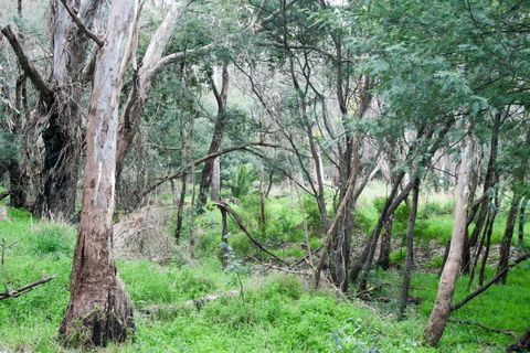 34 On Emily - Yamba Accommodation 4