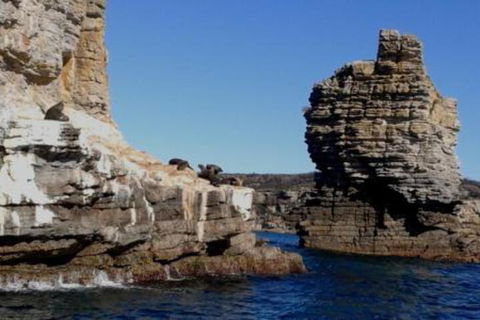 Summer Retreat At Callala Beach - Yamba Accommodation 7