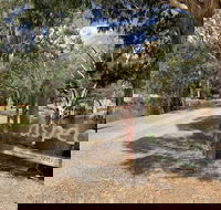 Bushland - Yamba Accommodation