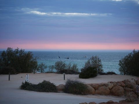 Denham Seaside Caravan Park - Yamba Accommodation 1