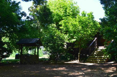 1 School Road Wandiligong - Yamba Accommodation 0