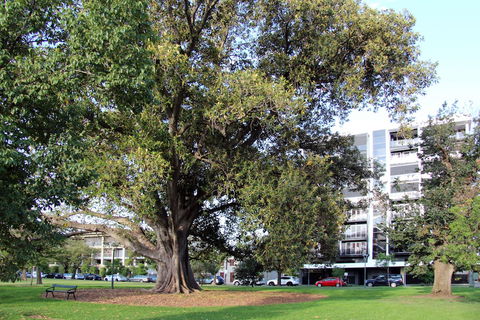 Adelaide Central Apartment - 3BR, 2Bath & Carpark - Yamba Accommodation 1