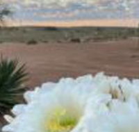 White Cliffs Underground Motel - Yamba Accommodation
