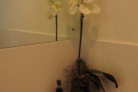 Sanctuary In The Valley - Yamba Accommodation 4