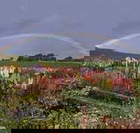 Boat Harbour Garden Cottages - Yamba Accommodation