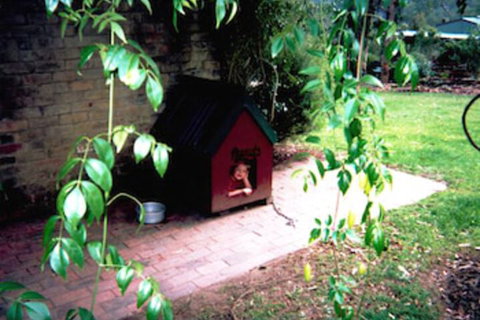 Kurrajong Trails And Cottages - Yamba Accommodation 1