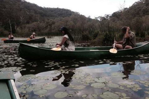 Kurrajong Trails And Cottages - Yamba Accommodation 3