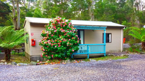 BIG4 Strahan Holiday Retreat - Yamba Accommodation 6