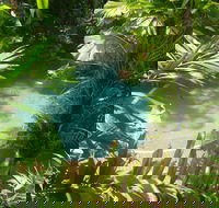 Palm Cove Tropic Apartments - Yamba Accommodation