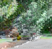 Oasis at Palm Cove - Yamba Accommodation