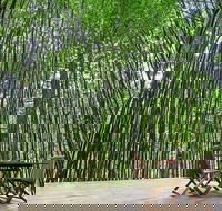 Azabu Boutique Accommodation Byron Bay - Yamba Accommodation