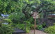Woolshed Eco Lodge - thumb 1