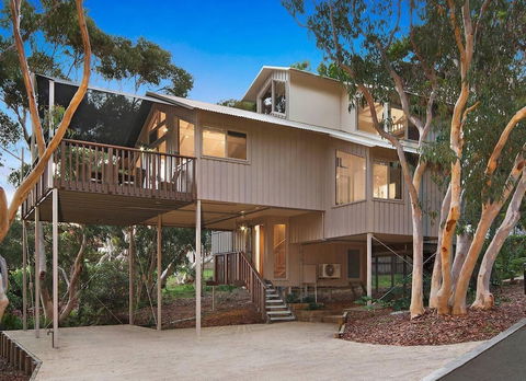 The Oasis Apartments And Treetop Houses - Yamba Accommodation 2