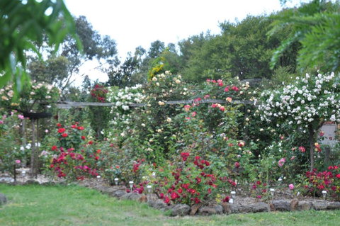 Fairy Wren Cottage Country To Coast Retreat - Yamba Accommodation 6