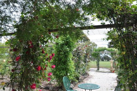 Fairy Wren Cottage Country To Coast Retreat - Yamba Accommodation 1