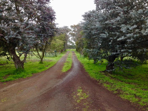 Fairy Wren Cottage Country To Coast Retreat - Yamba Accommodation 4
