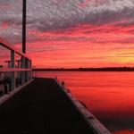 Fairy Wren Cottage Country To Coast Retreat - Yamba Accommodation 0