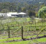 Eureka Farm - Yamba Accommodation