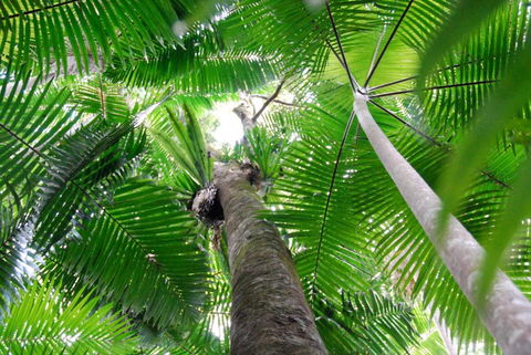 Casa Vista - Yamba Accommodation 2