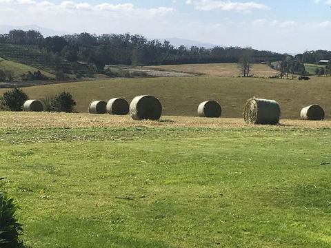 Windrush BnB Comboyne Australia - Yamba Accommodation 3